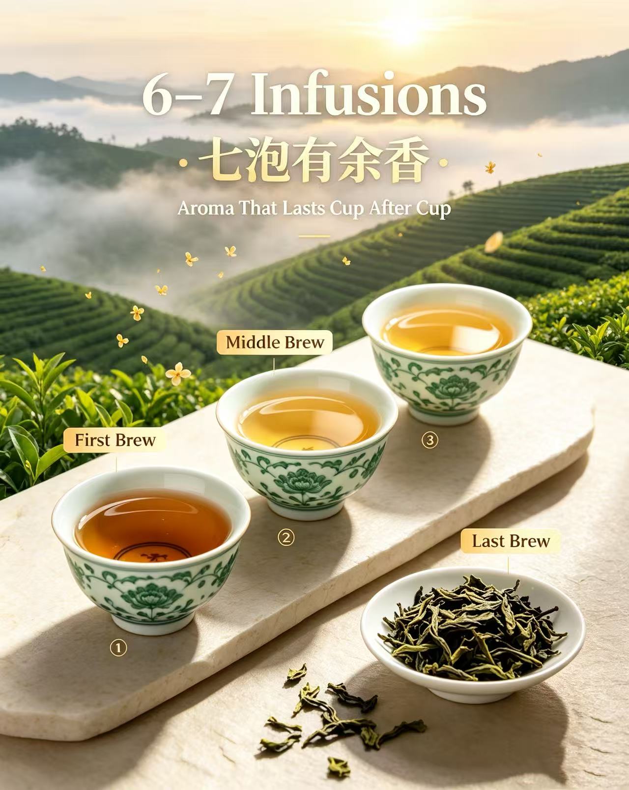 Pure Heavenly Aroma Oolong Tea